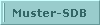 Muster-SDB